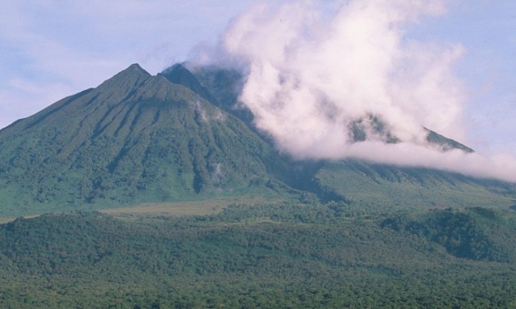 3 Days Rwanda Gorillas & Karisimbi Hike